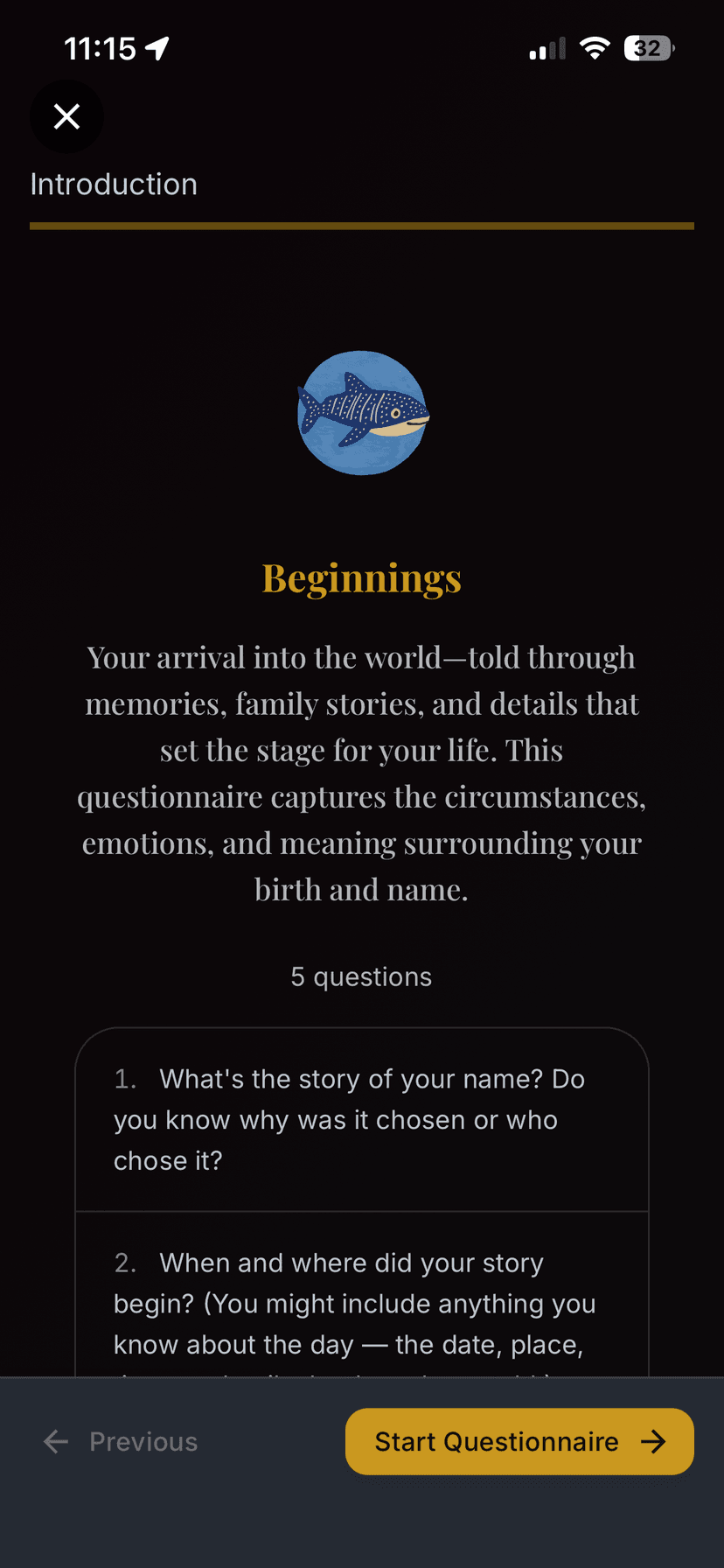 Beginnings questionnaire